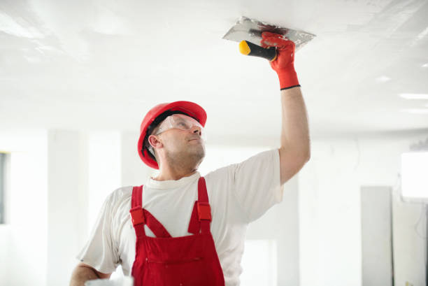 Best Wallpaper Removal and Painting  in USA